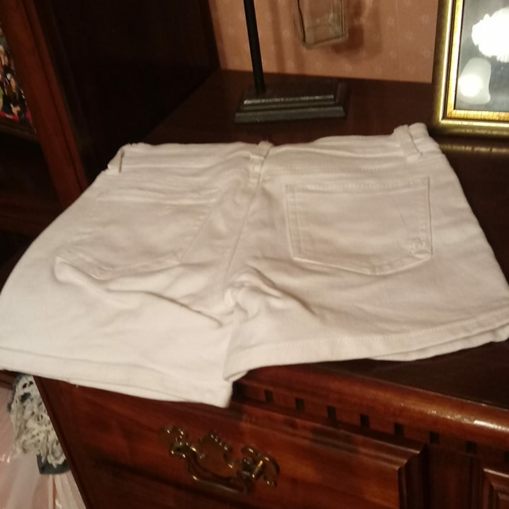 Draigo rein shorts - Picture 4 of 4